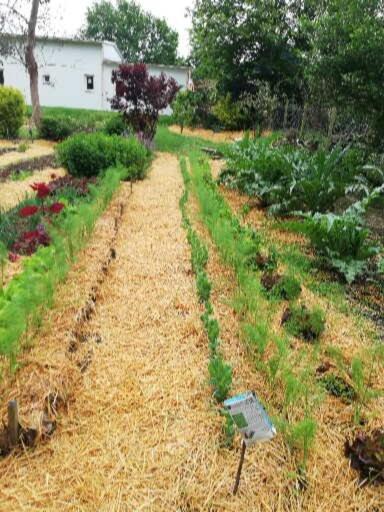 Holiday home Au Coeur Du Jardin