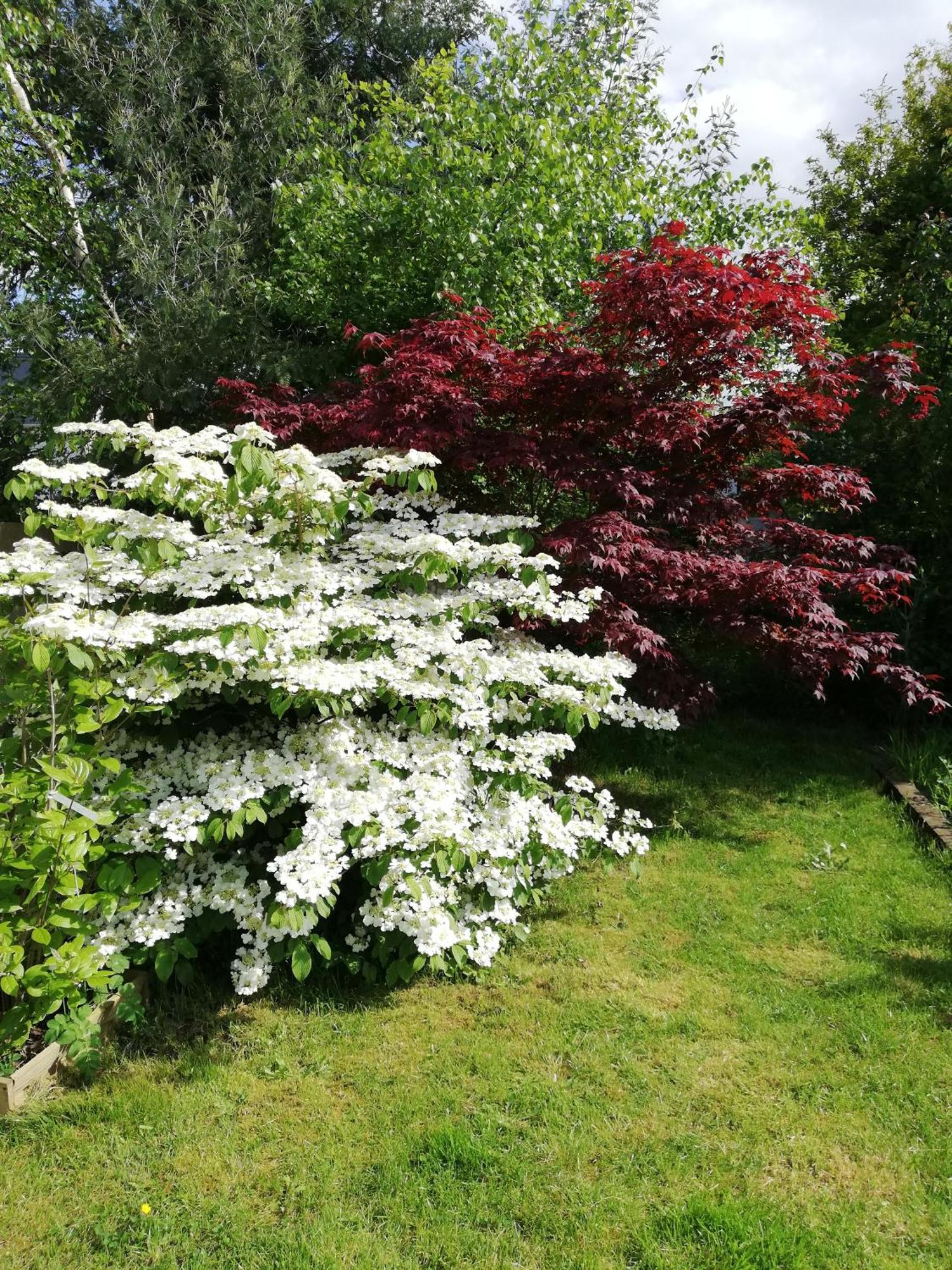 Au Coeur Du Jardin * La Boussac